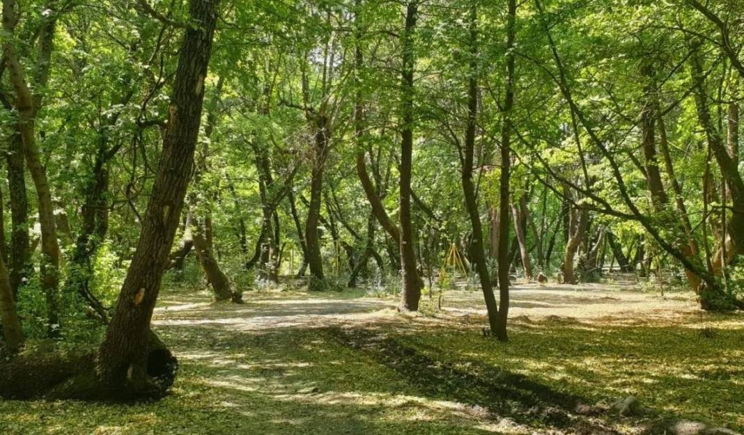 Tam 27 ilde resmen yasaklandı! Ormanlara giremeyeceksiniz - Resim: 30